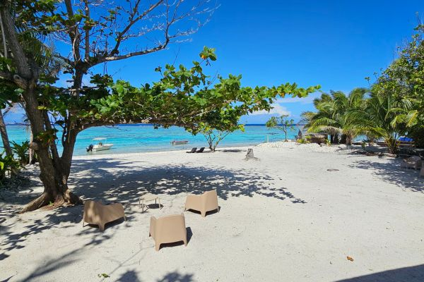 Plage de sable blanc et transats à l'ombre des arbres face au lagon